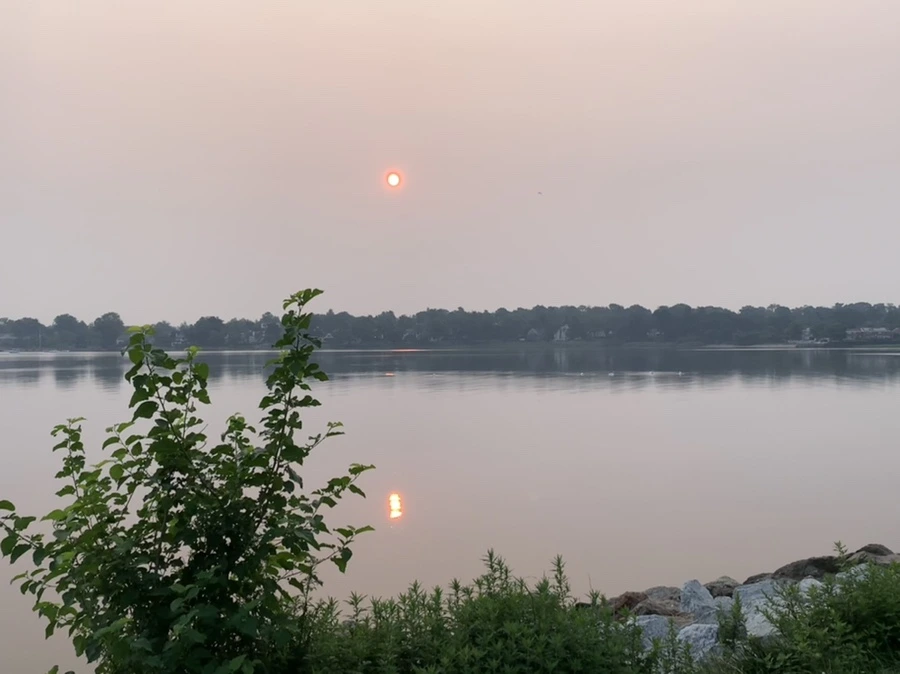 IMG_8082.jpg?type=w966