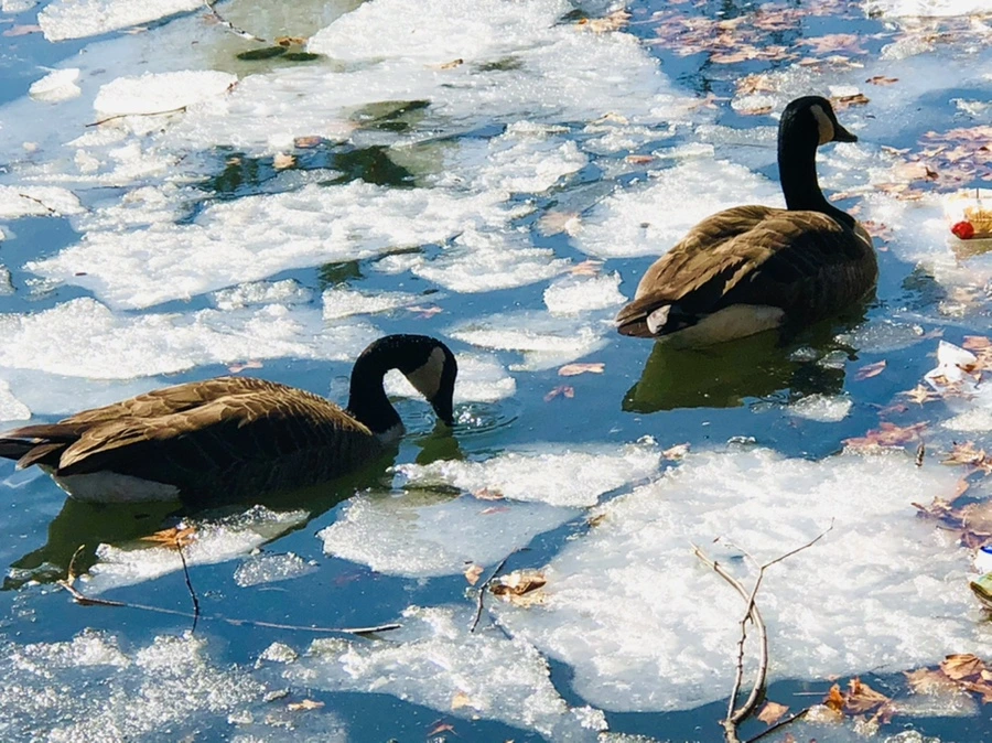 IMG_5093.jpg?type=w966