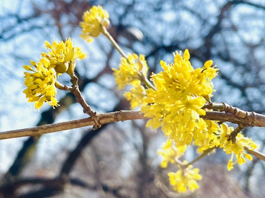 IMG_5498.jpg?type=w966