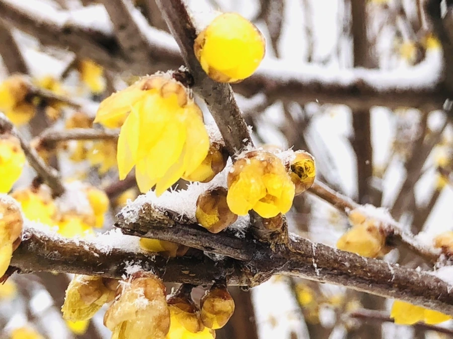 IMG_3500.jpg?type=w966