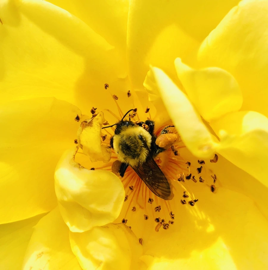 FbZ8_qRjSt10m_P_c0FygPxzlgY