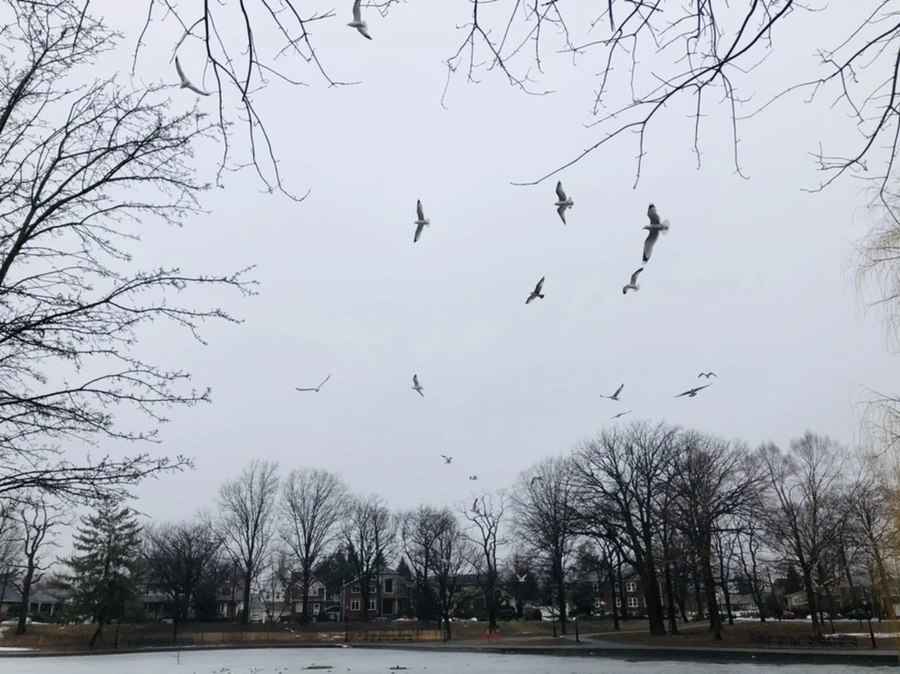 IMG_5624.jpg?type=w966