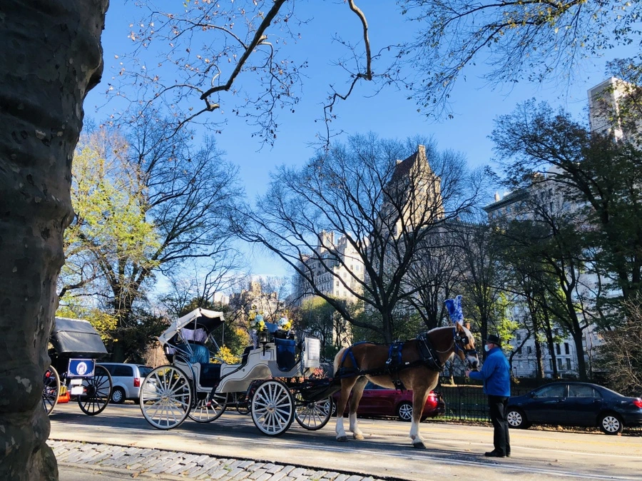 IMG_5136.jpg?type=w966