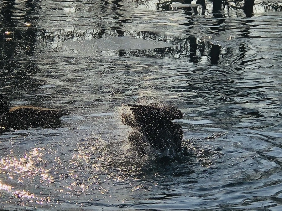 IMG_2838.jpg?type=w966