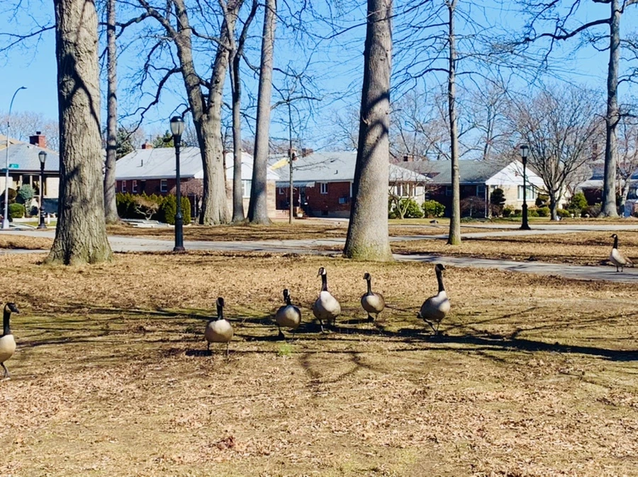 IMG_6656.jpg?type=w966