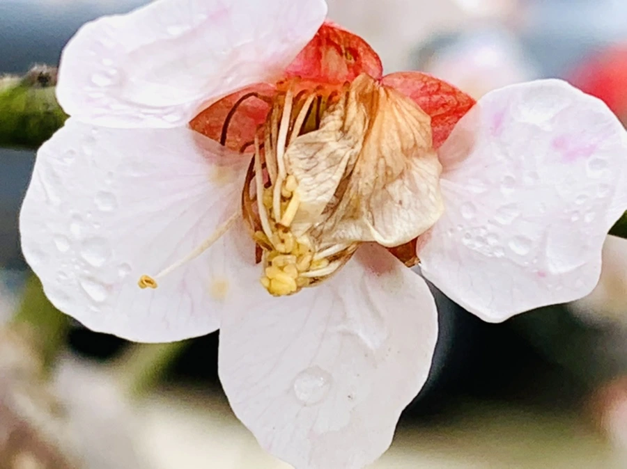 IMG_3915.jpg?type=w966