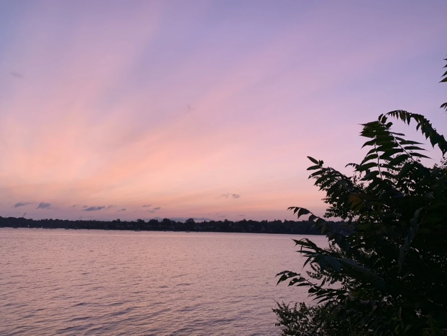 IMG_5361.jpg?type=w966