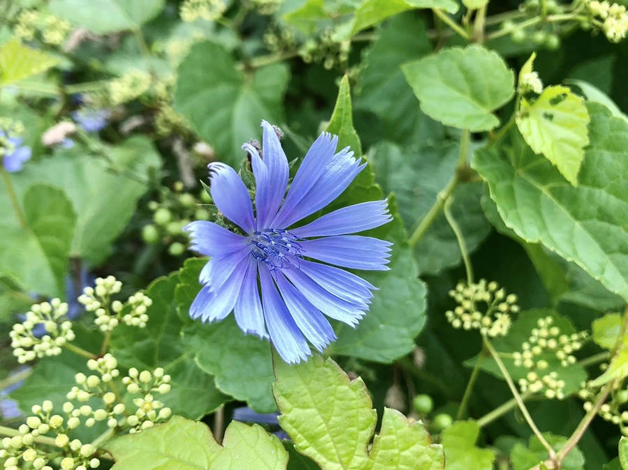 IMG_5023.jpg?type=w966