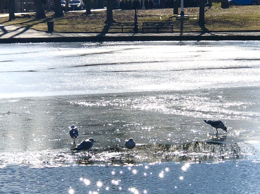 IMG_6839.jpg?type=w966