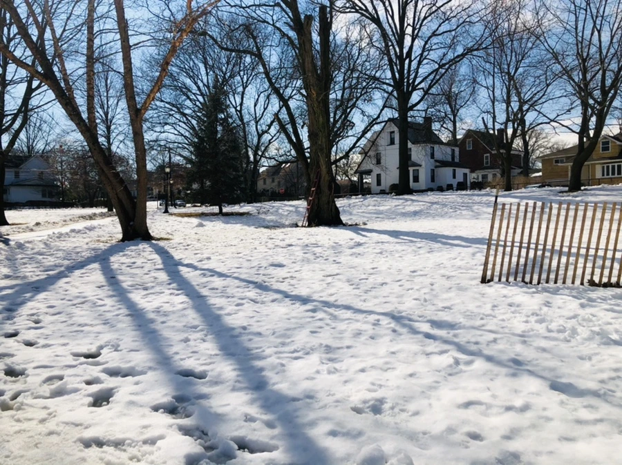 IMG_2976.jpg?type=w966