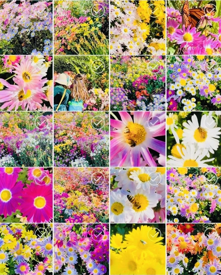 IMG_9231.jpg?type=w966