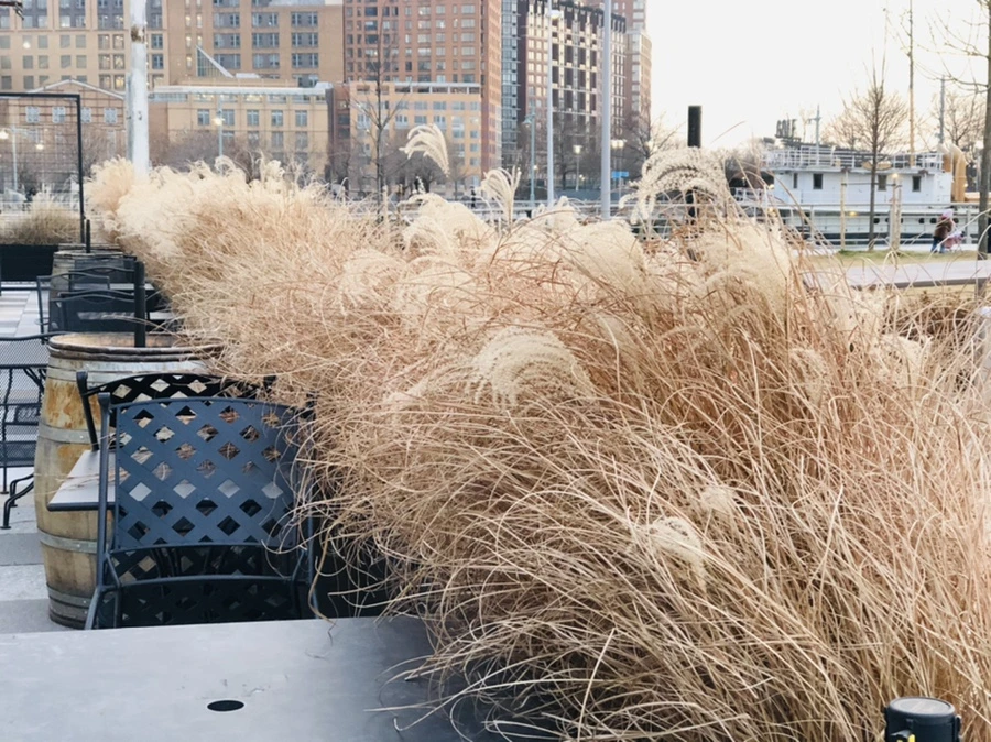 IMG_3055.jpg?type=w966