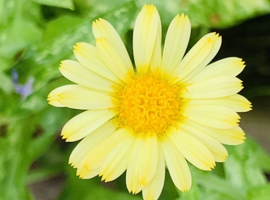 IMG_1046.jpg?type=w966