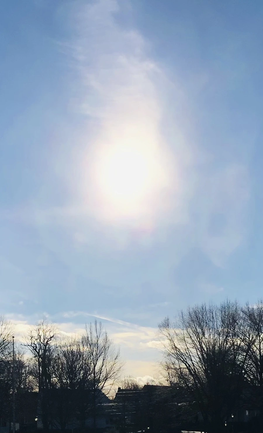 IMG_9246.jpg?type=w966