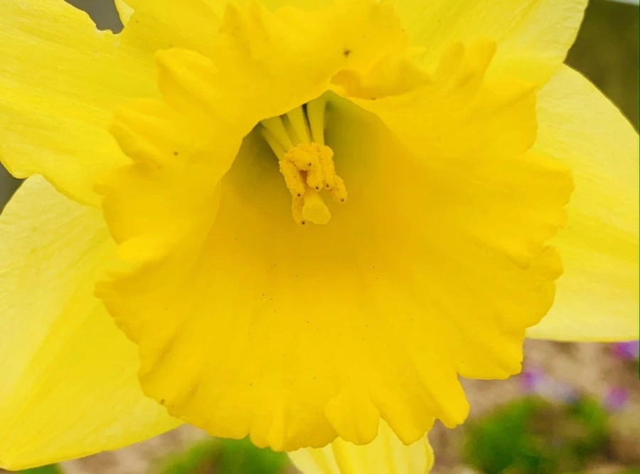 IMG_3456.jpg?type=w966