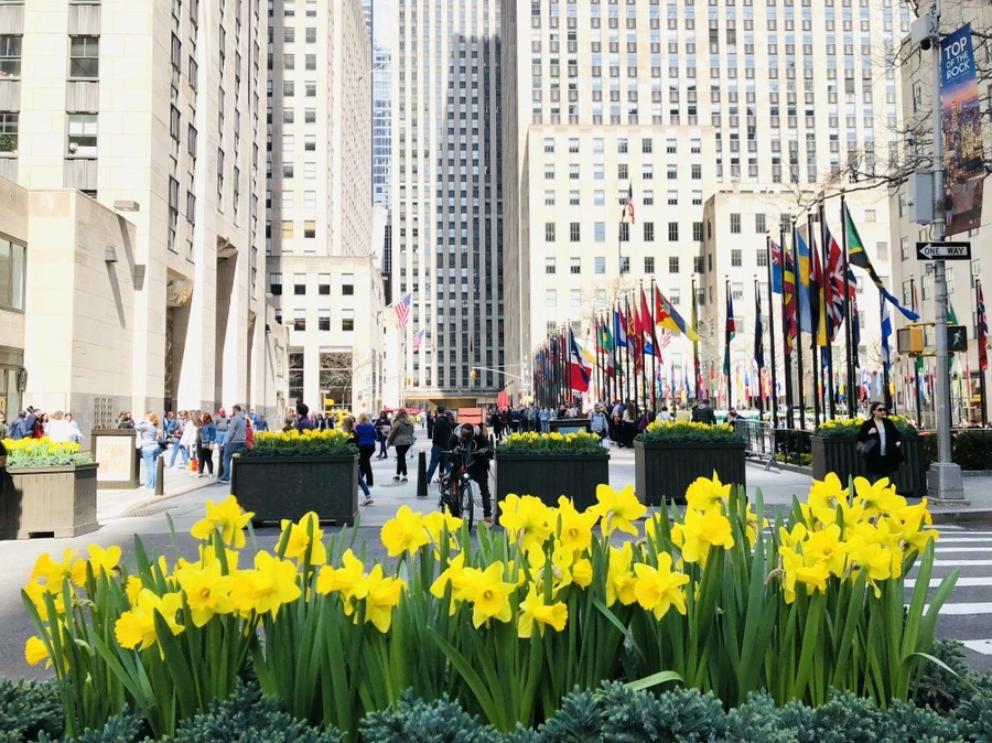 IMG_2539.jpg?type=w966