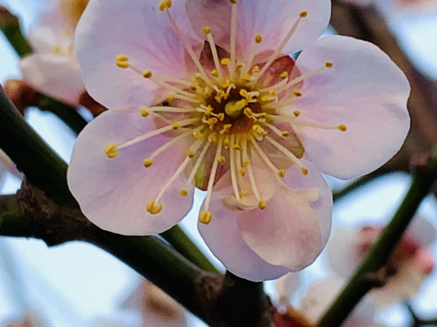 IMG_2788.jpg?type=w966