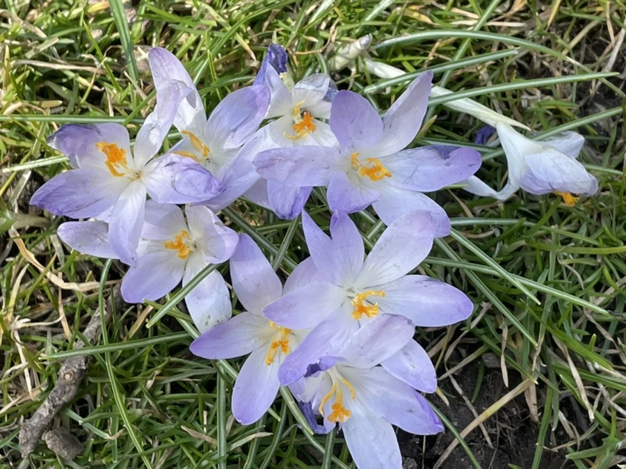 IMG_5337.jpg?type=w966