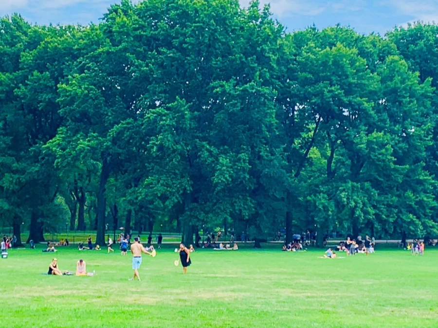 IMG_1565.jpg?type=w966