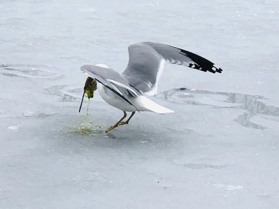 IMG_6321.jpg?type=w966