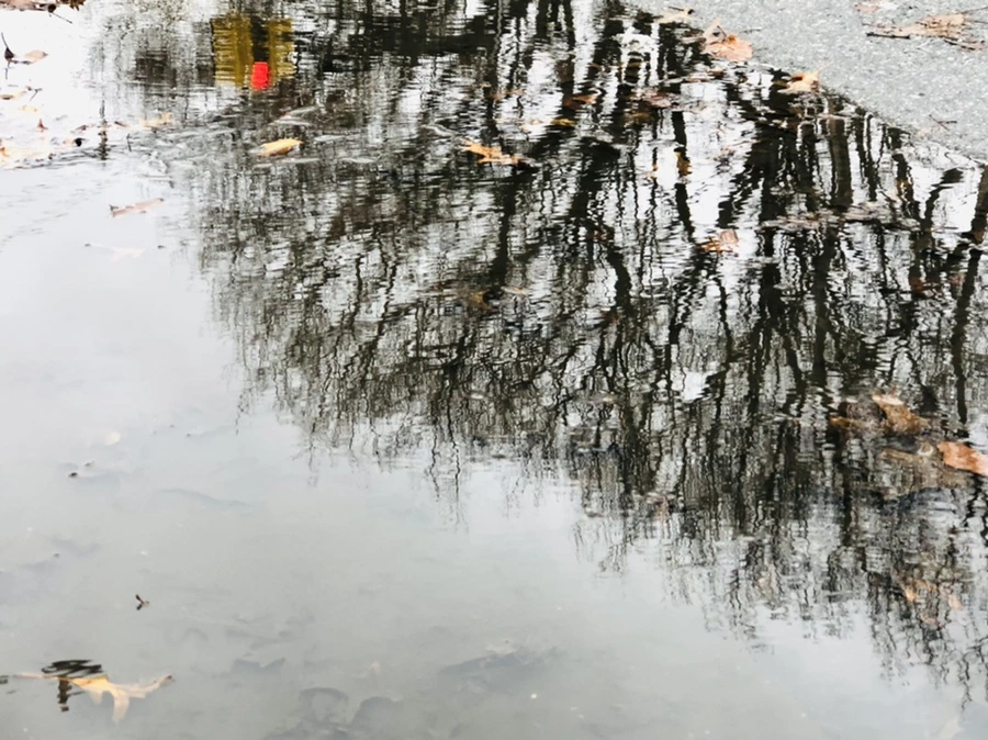 IMG_8146.jpg?type=w966