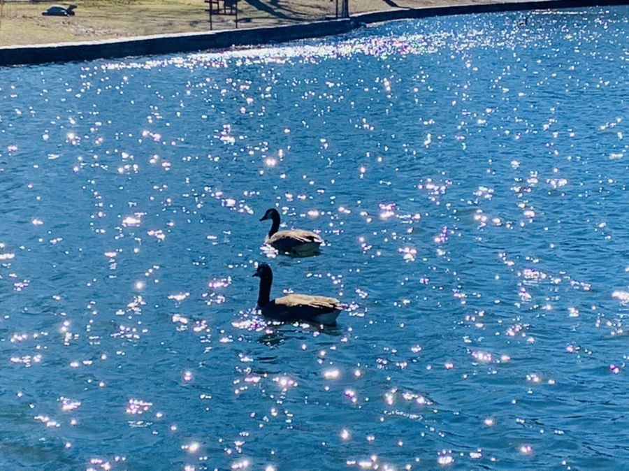 IMG_7570.jpg?type=w966