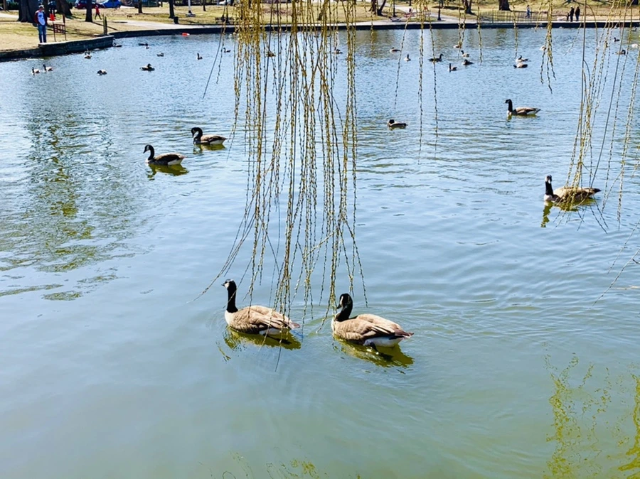 IMG_3111.jpg?type=w966