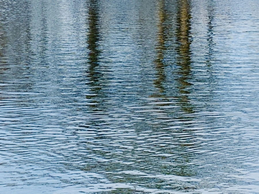 IMG_0320.jpg?type=w966