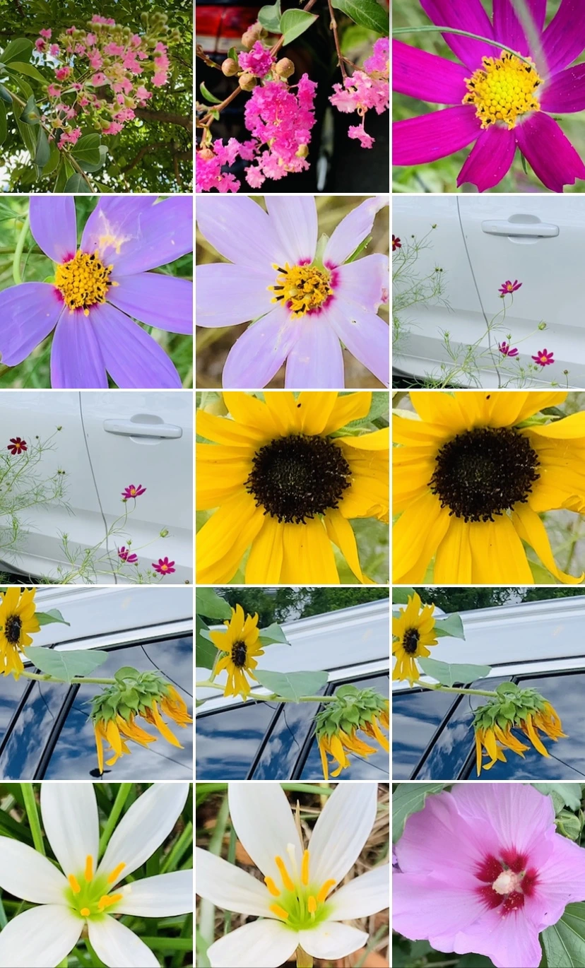 IMG_7339.jpg?type=w966