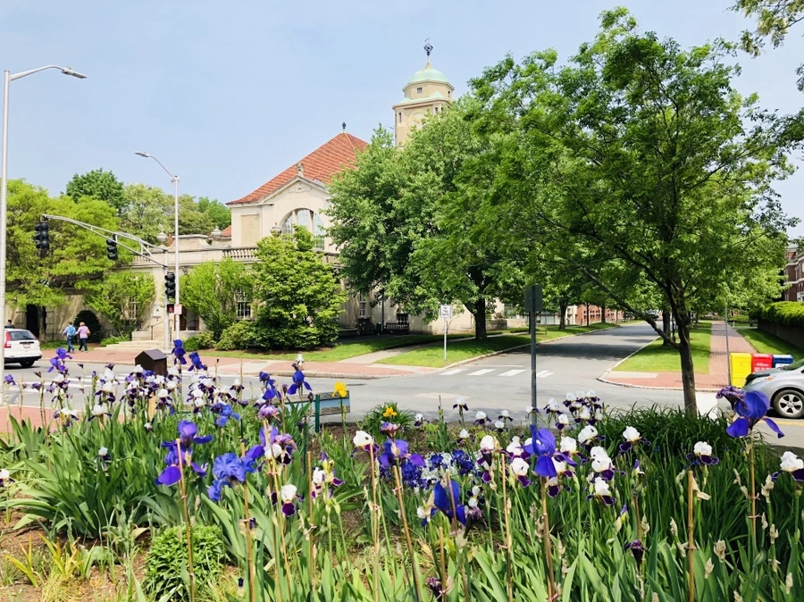 IMG_5458.jpg?type=w966