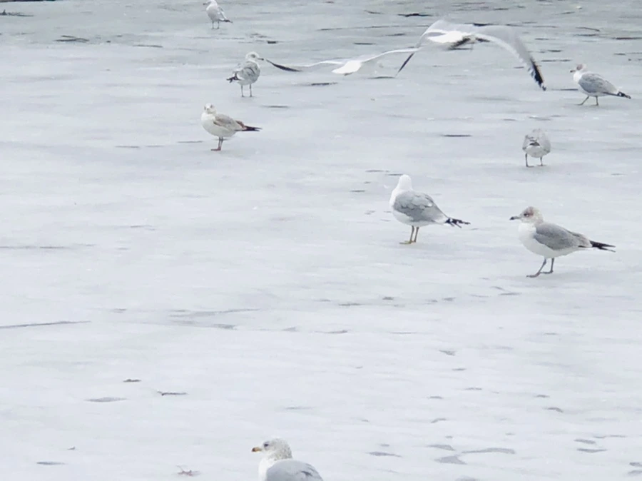 IMG_6324.jpg?type=w966