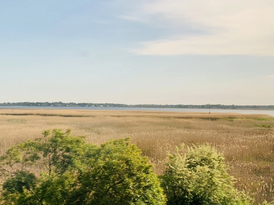 IMG_3194.jpg?type=w966