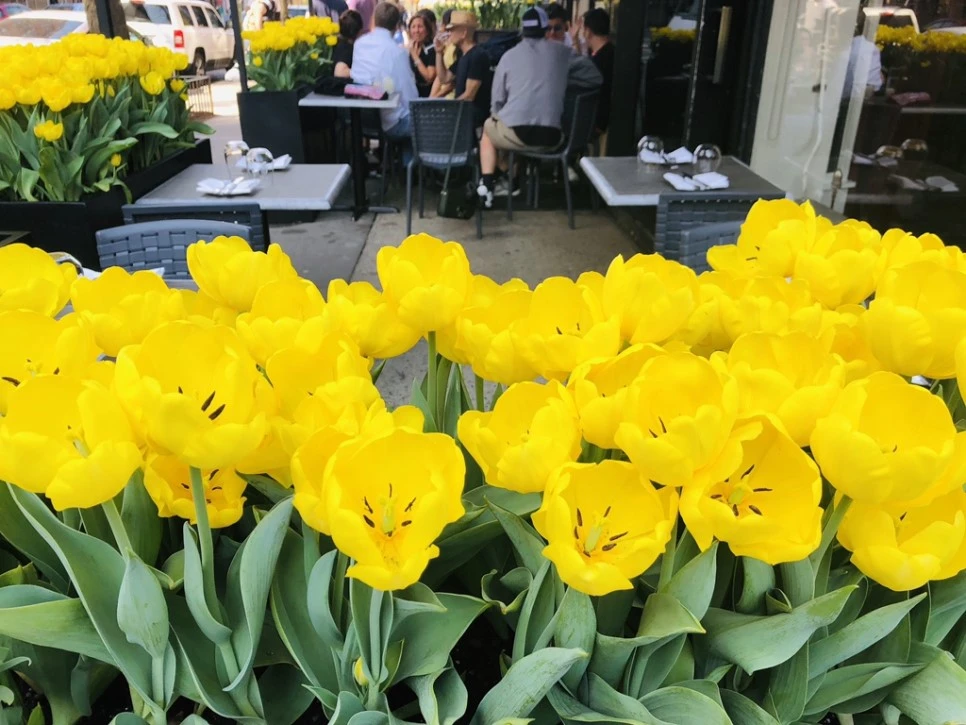 IMG_2868.jpg?type=w966