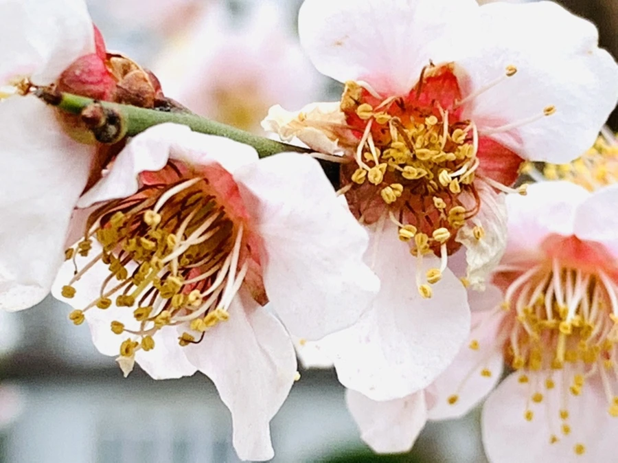 IMG_3633.jpg?type=w966