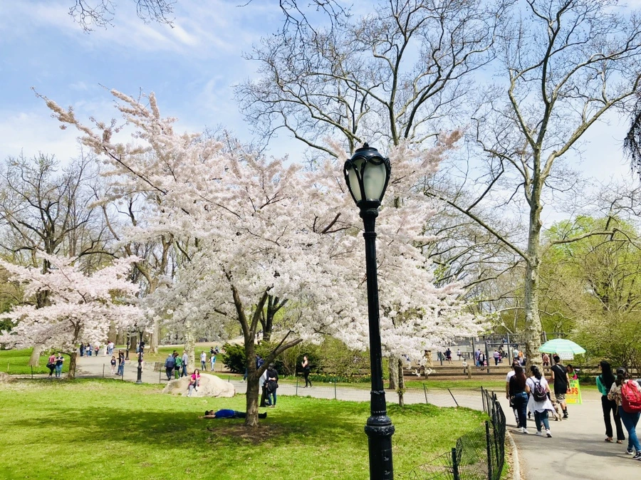 IMG_2935.jpg?type=w966