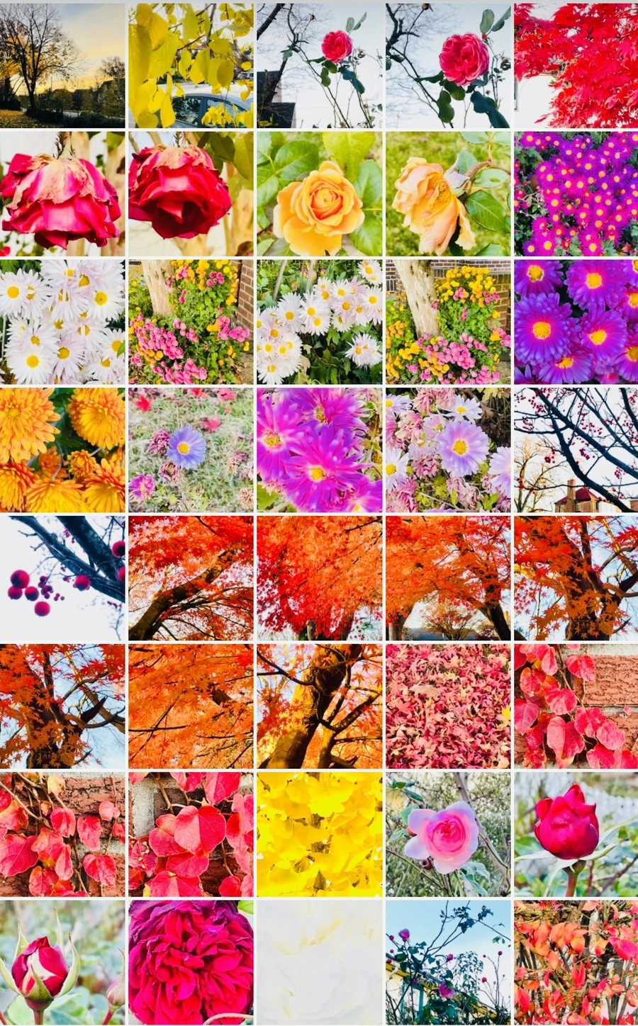 IMG_6077.jpg?type=w966