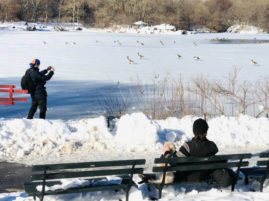 IMG_9852.jpg?type=w966