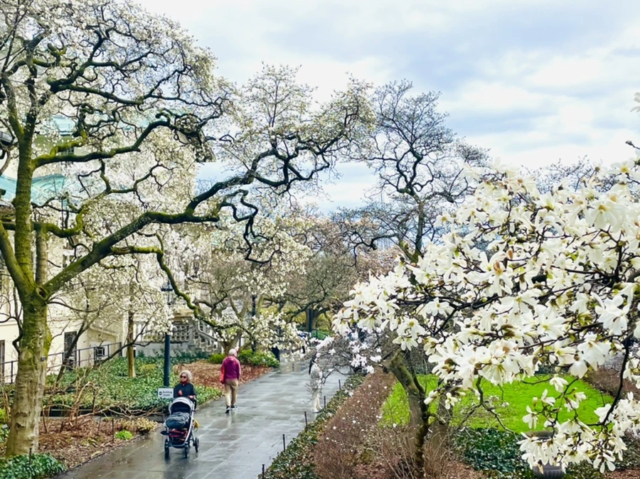 IMG_7484.jpg?type=w966