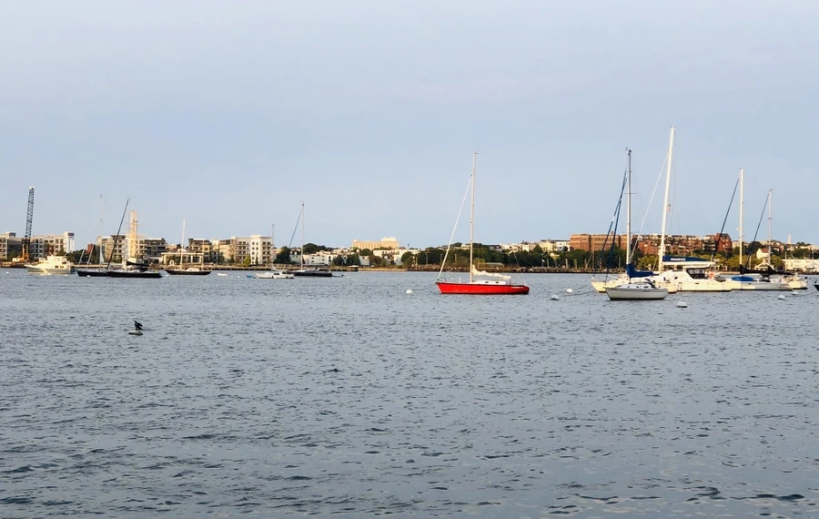 IMG_0643.jpg?type=w966