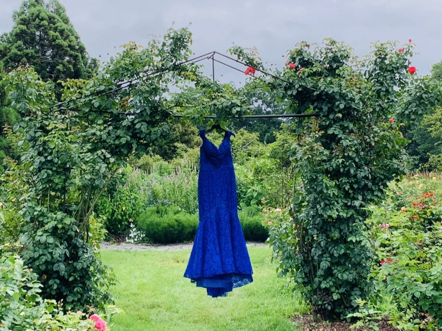 IMG_1109.jpg?type=w966