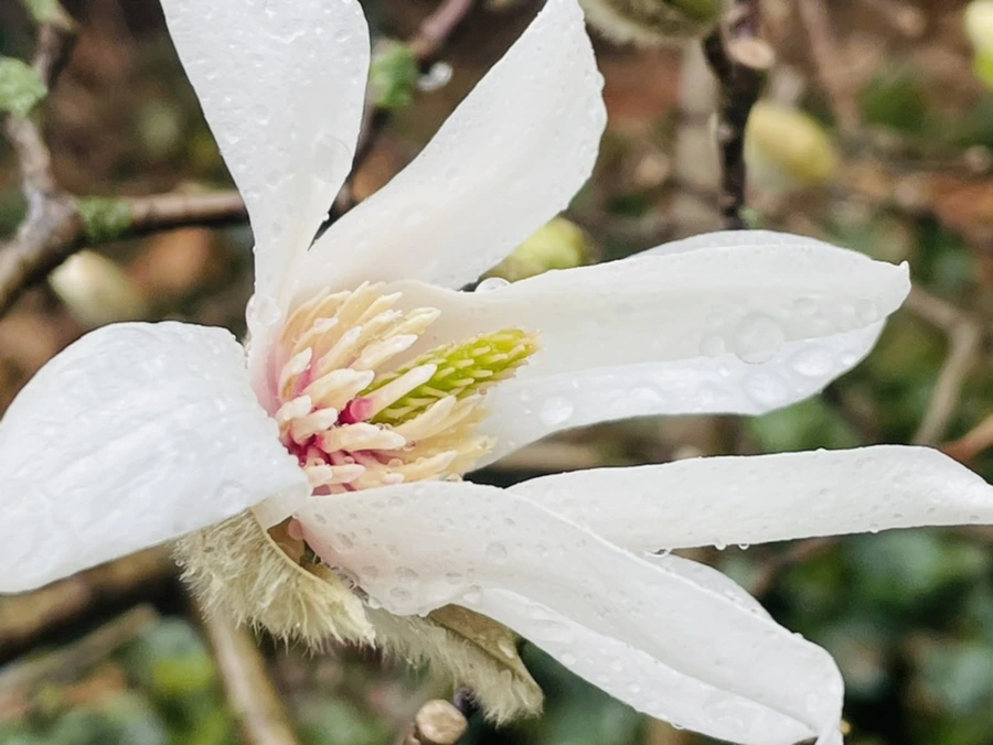 IMG_7362.jpg?type=w966