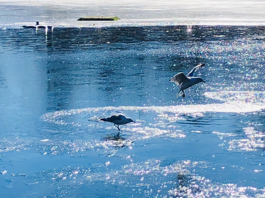 IMG_8069.jpg?type=w966