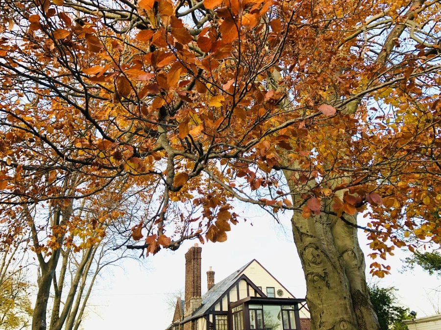 IMG_5703.jpg?type=w966