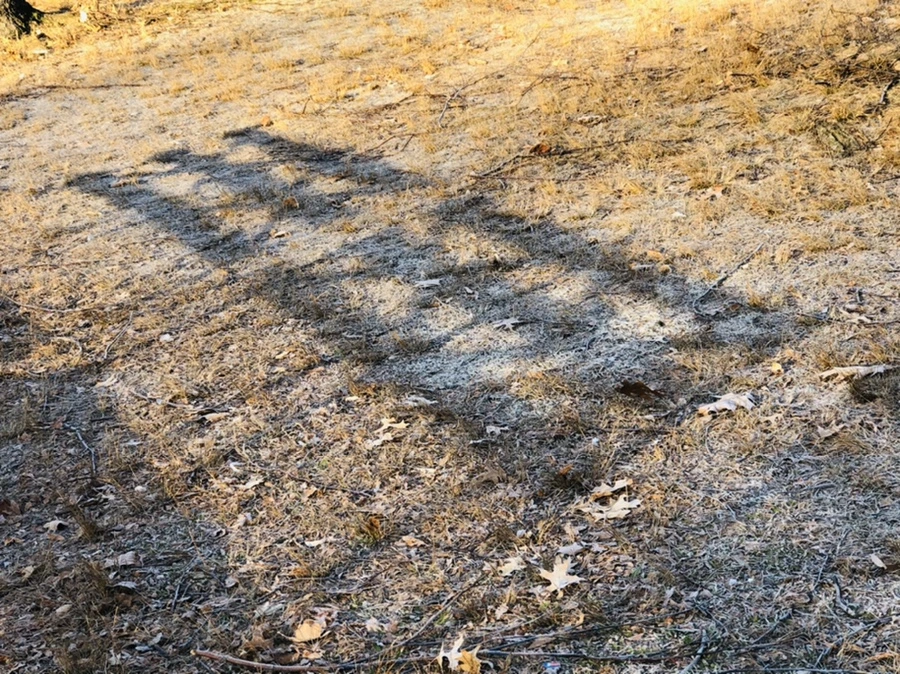 IMG_2212.jpg?type=w966