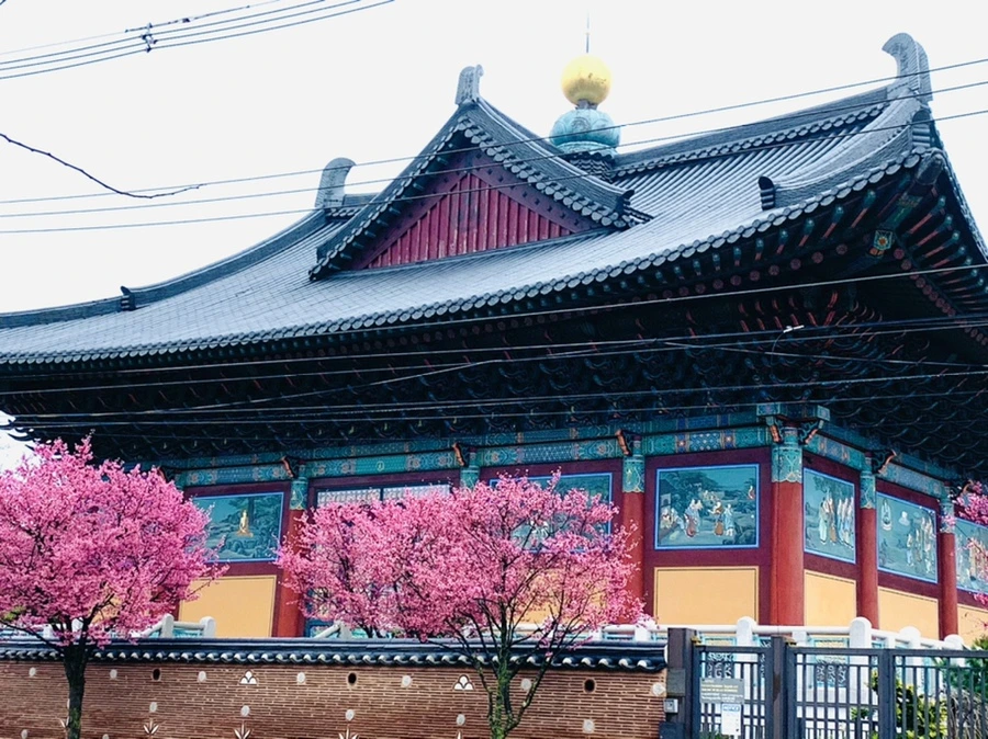 IMG_5310.jpg?type=w966