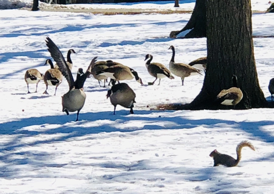 IMG_4526.jpg?type=w966