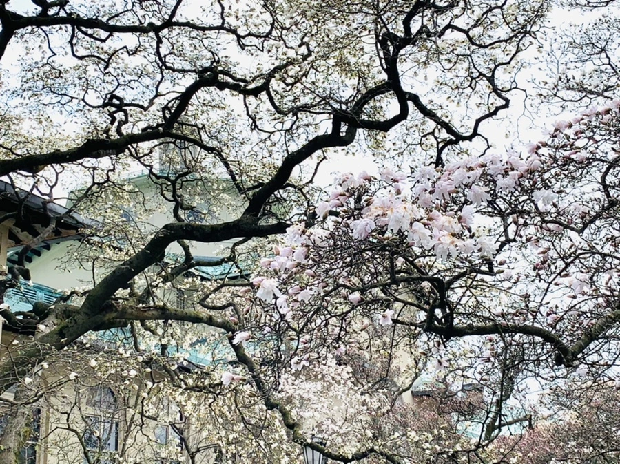 IMG_7145.jpg?type=w966