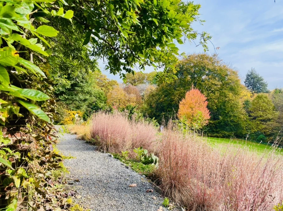 IMG_2434.jpg?type=w966