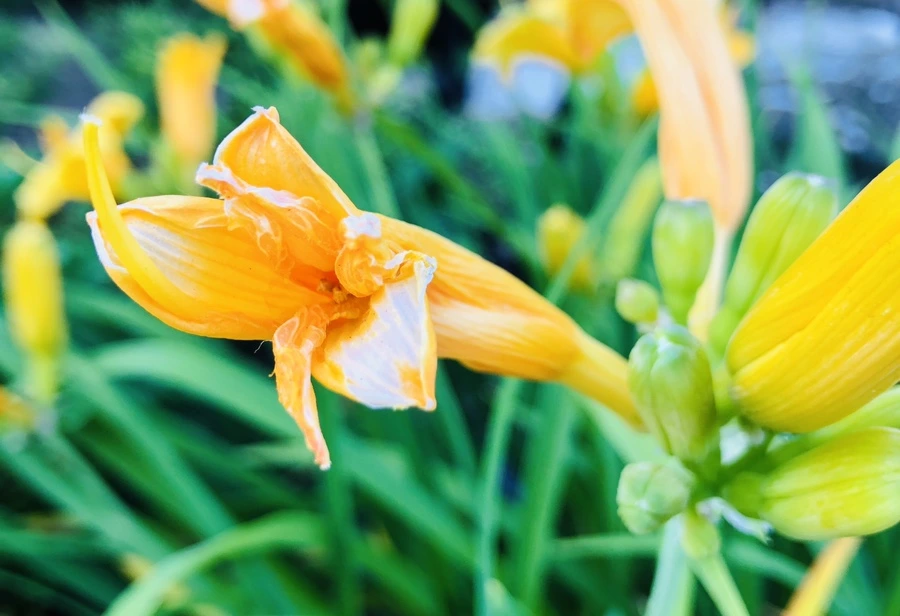 IMG_9399.jpg?type=w966