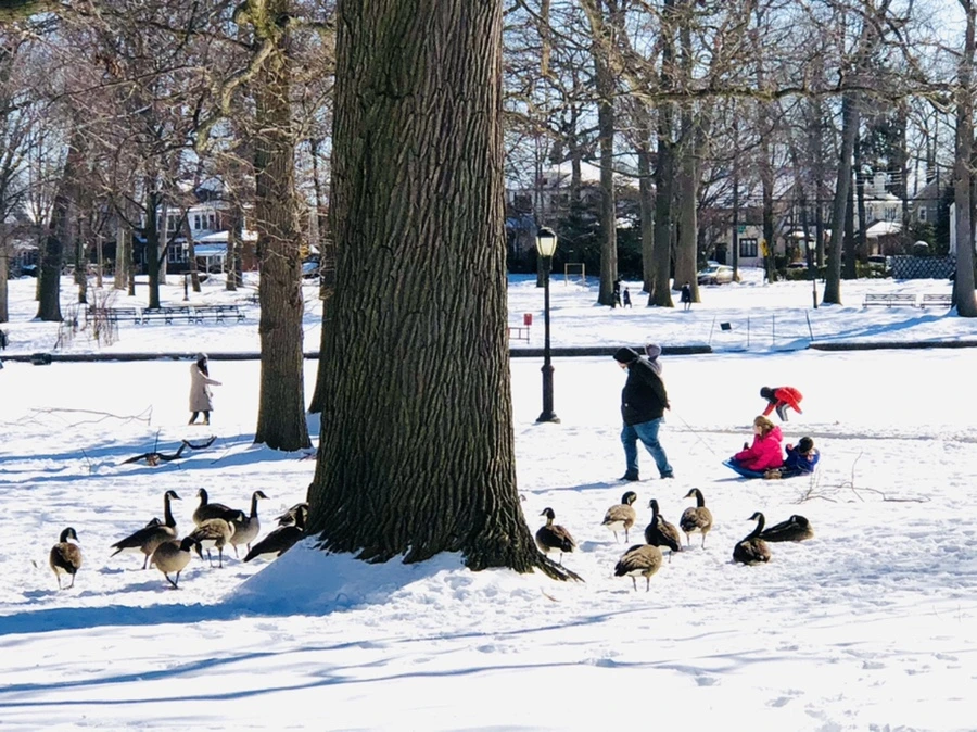 IMG_3986.jpg?type=w966